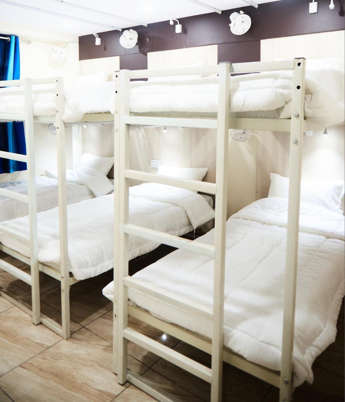 Himalayan Hostel نيودلهي الغرفة الصورة